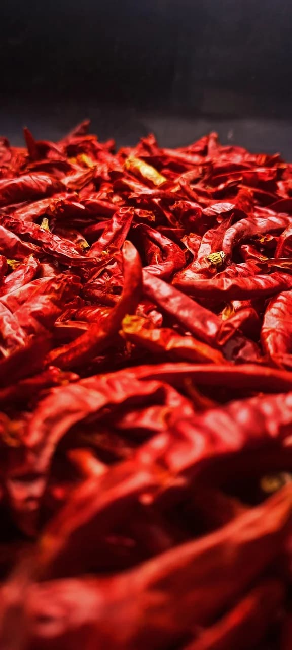 Dried Red Chillies (ಒಣ ಮೆಣಸಿನಕಾಯಿ)