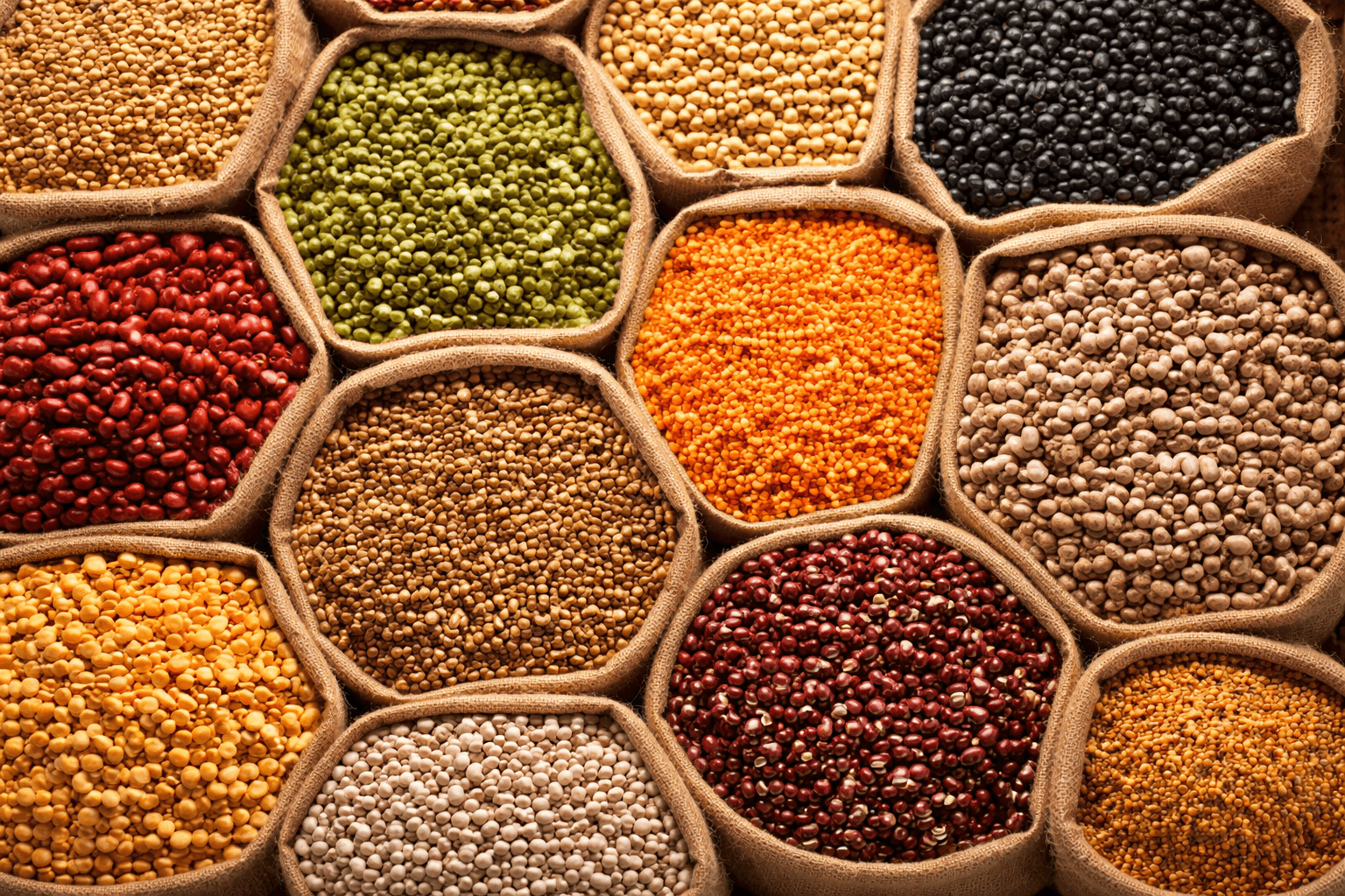 Assortment of organic grains and pulses